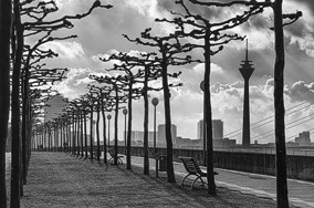 Düsseldorf am Rhein