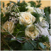 Hochzeiten: Meine schönsten Fotos