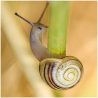 Natur: Meine schönsten Fotos
