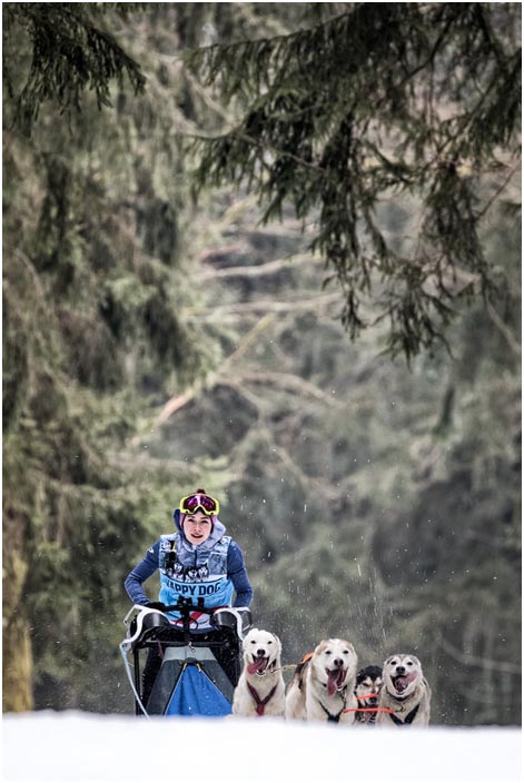 Hundeschlittenrennen Frauenwald